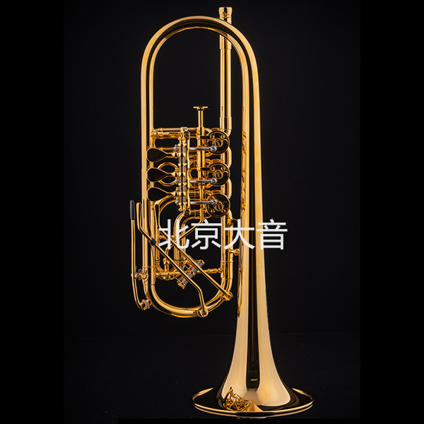 沙格尔 维也纳 Schagerl Wien