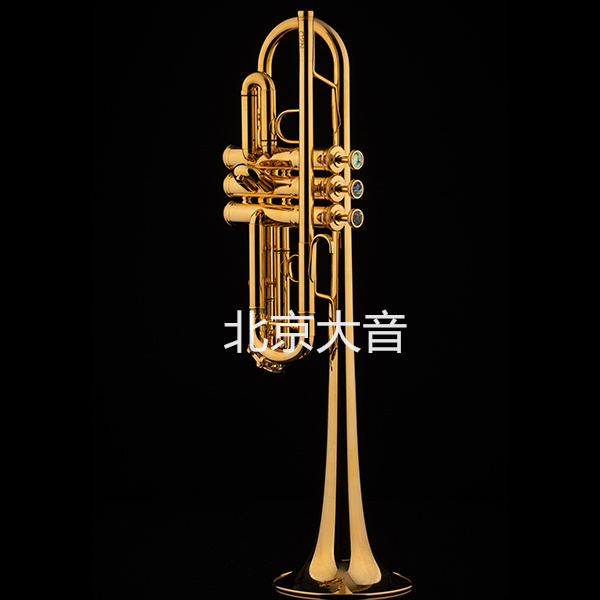 沙格尔 1961 Schagerl 1961