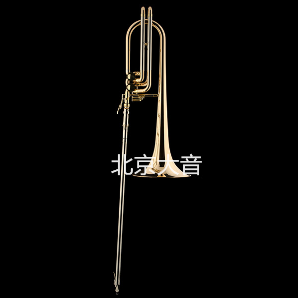 沙格尔 奥如拉 Schagerl Aurora