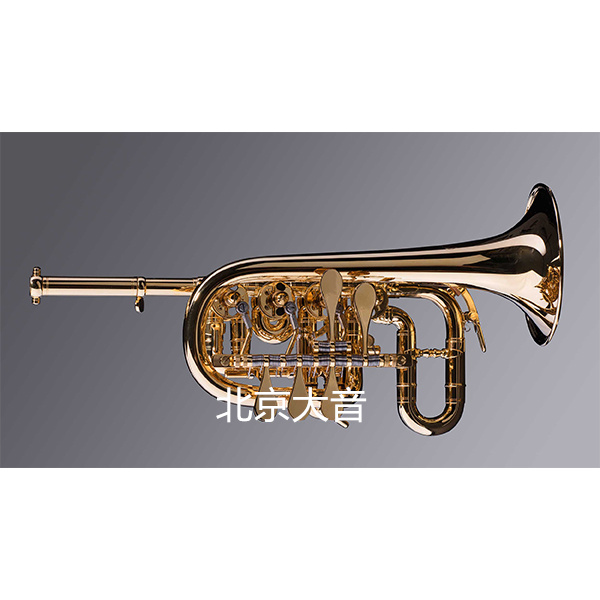 奥博拉赫 vivaldi I Bb/A高音小号